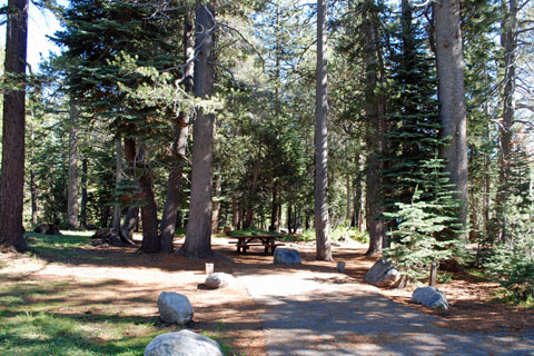 Campsite at Lake Alpine Campground, Stanislaus National Forest, CA