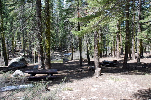 Sand Flat Campground, Stanislaus National Forest, CA