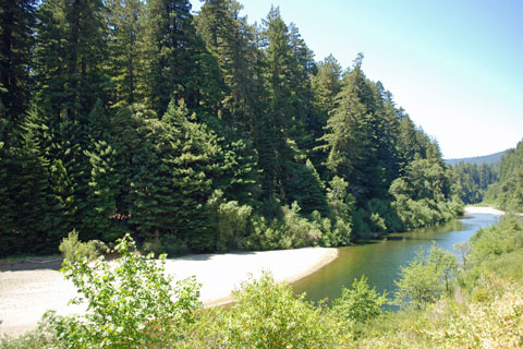 Eel River, Humboldt Redwoods State Park, CA