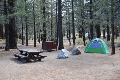 New Shady Rest Campground, Mammoth Lakes, CA