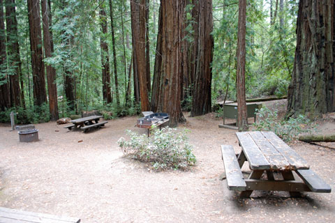 group campground at Portola Redwoods State Park, CA