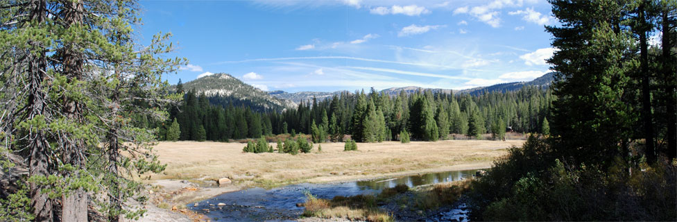 meadow at Devils Postpile National Monument, Inyo National Forest, CA