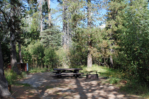 Reds Meadow Campground, Inyo National Forest, CA