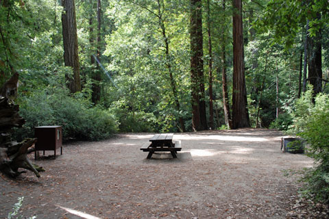 Sempervirens Campground, Big Basin Redwoods State Park, CA