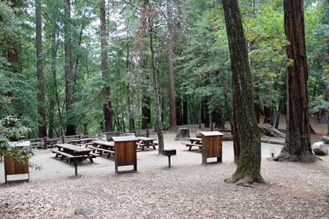 Sequoia Group Campground, Big Basin Redwoods State Park, CA