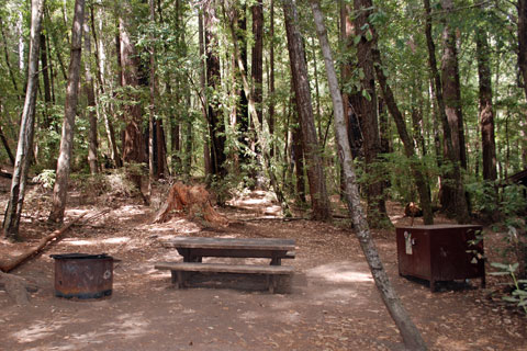 Wastahi Campground, Big Basin Redwoods State Park, CA