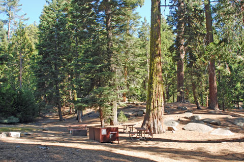 Crystal Springs Group Campground, Grant Grove, Kings Canyon National Park