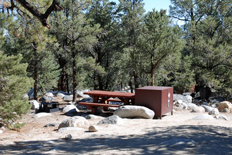 French Camp Campground,  Inyo National Forest, CA