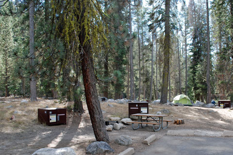 Lodgepole Campground, Sequoia National Park