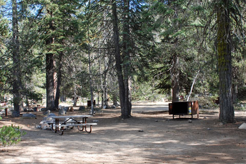 Lodgepole Campground, Sequoia National Park