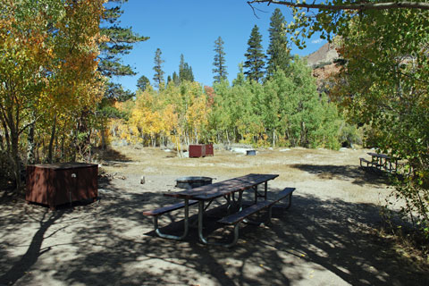 Table Mountain Group Campground,  Inyo National Forest, CA