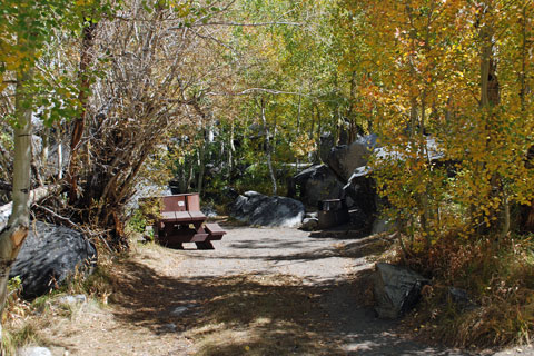 Willow Campground,  Inyo National Forest, CA
