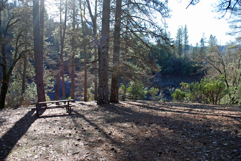Nelson Point Campground at Shasta Lake