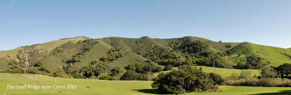 Hartzell Ridge near Cerro Alto