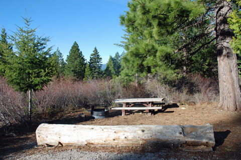 McBride Springs Campground on the slopes of Mount Shasta