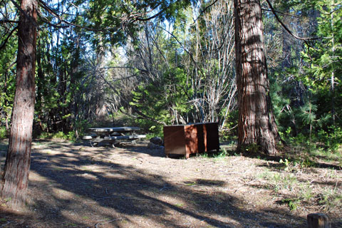 Mt. Shasta campground