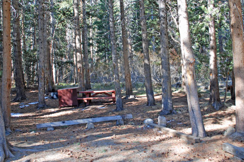 Big Meadow Campground, Rock Creek,  Inyo National Forest, CA