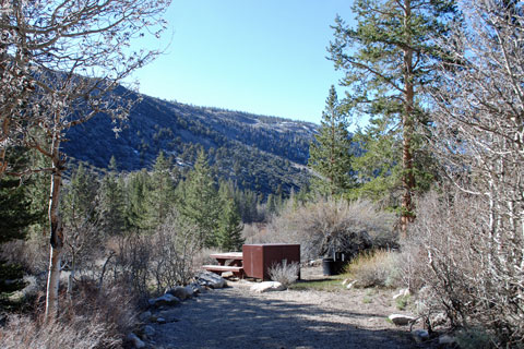 East Fork Campground, Rock Creek,  Inyo National Forest, CA