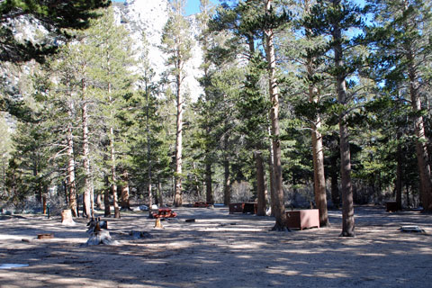 Palisade Group Camp, Rock Creek,  Inyo National Forest, CA