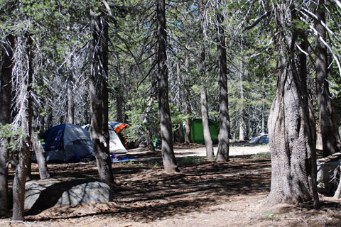 Badger Flat Group Campground, Huntington Lake, CA