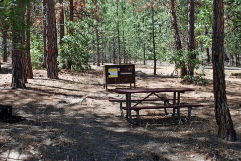 Moraine Campground, Cedar Grove, Kings Canyon National Park