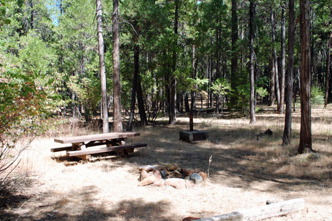 Preacher Meadow Campground near Trinity Lake