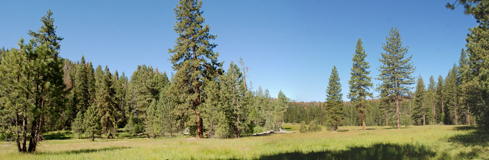 Indian Basin Meadow, Sequoia National Forest, California