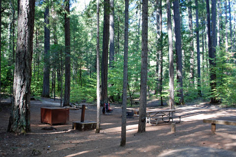 Tannery Gulch Campground at Trinity Lake