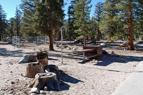 Horseshoe Meadow Equestrian Campground, CA