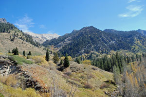 Mineral King, Sequoia National Park camping, CA