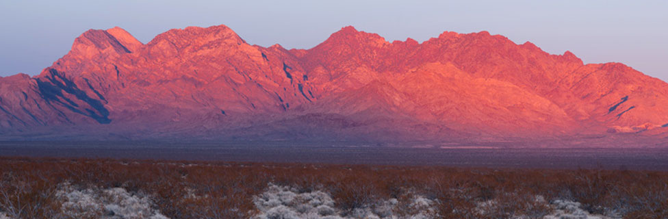 Mojave Desert Preserve, CA