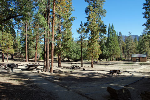 Council Group Campground, San Bernardino National Forest, CA