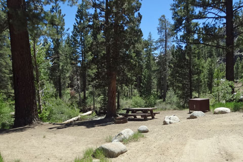 Leavitt Meadows Campground, Humboldt_Toiyabe National Forest, CA