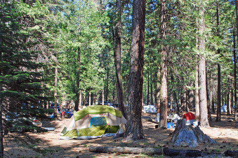 Campsite at Pinecrest Campground, Stanislaus National Forest, CA