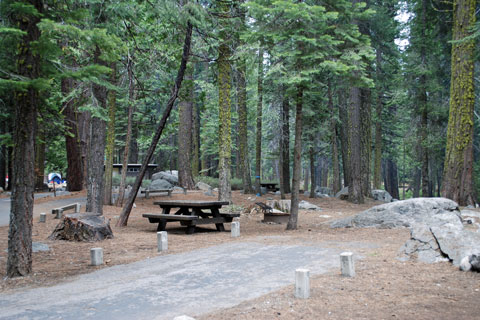 Campsite at Pinecrest Campground, Stanislaus National Forest, CA