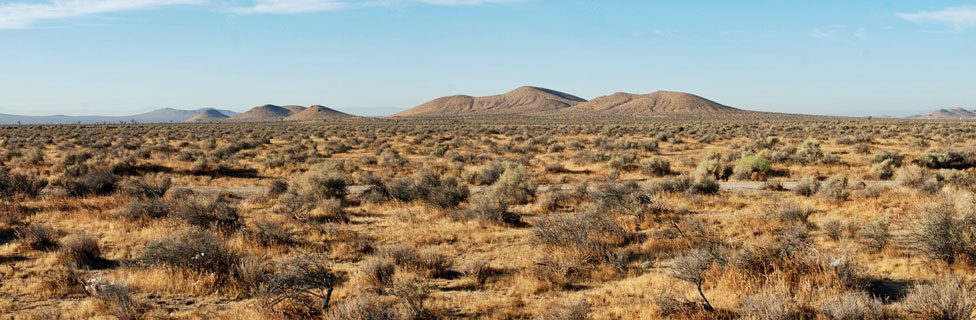 Mojave Desert, CA