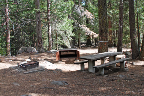 Shake Camp  Campground, Mountain Home Demonstration State Forest, CA