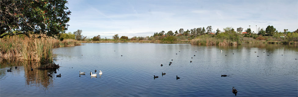 Guajome Regional Park, San Diego County, California