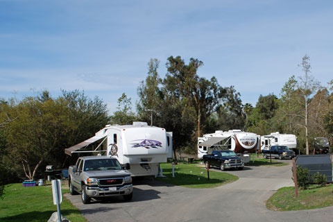 Guajome Regional Park Campground, San Diego County, CA