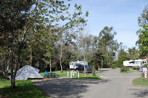 Guajome Regional Park Campground, San Diego County, CA