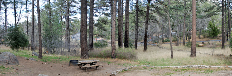 Paso Picacho Campground  - Cuyamaca Rancho State Park, CA