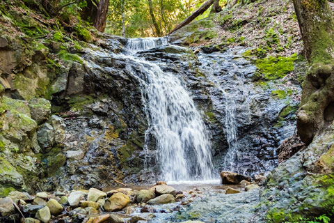 waterfall in Uvas Canyon County Park, CA