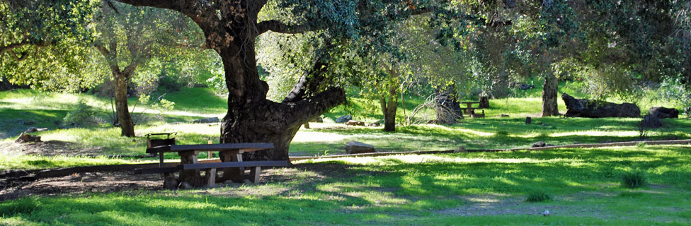 Fremont Campground, Los Padres National Forest, California