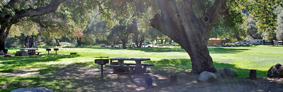 Paradise Campground, Los Padres National Forest,  California