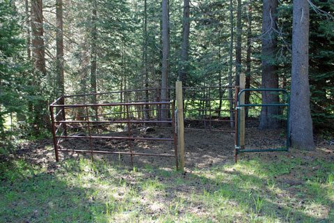 horse corral at Little Lasier Meadows Horse Camp, Tahoe National Forest