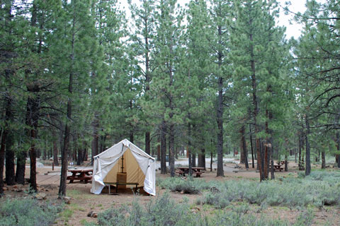 Logger Campground, Stampede Reservoir  Tahoe National Forest