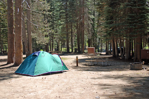 Tamarack Flat Campground, Yosemite National Park