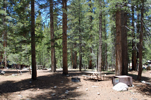 Tuolumne Meadows Campground, Yosemite National Park