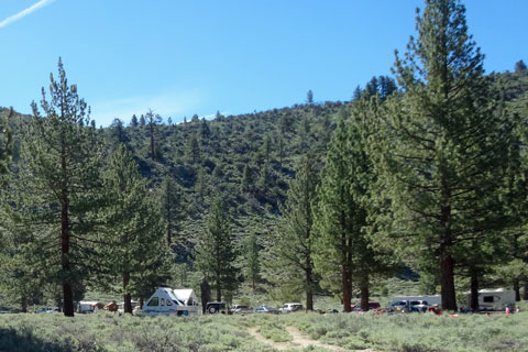 Crags Campground near Twin Lakes, Mono County, CA