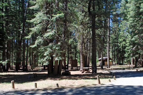Last Chance Creek Group Campground, near Lake Almanor, CA